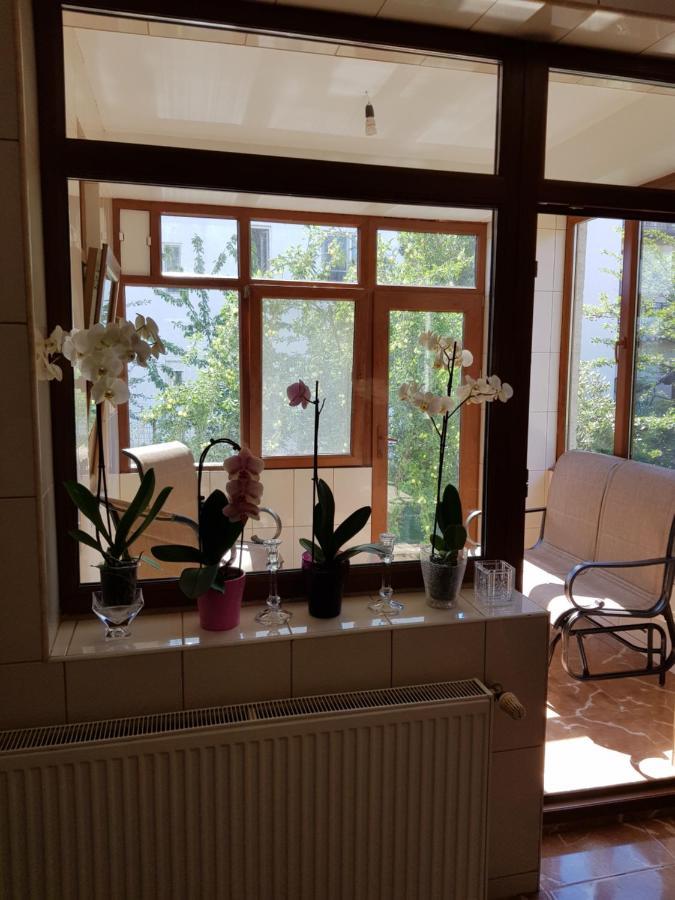Dativo House Năvodari Extérieur photo