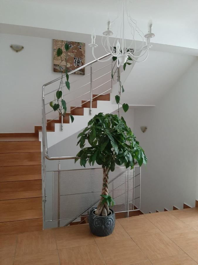 Dativo House Năvodari Extérieur photo