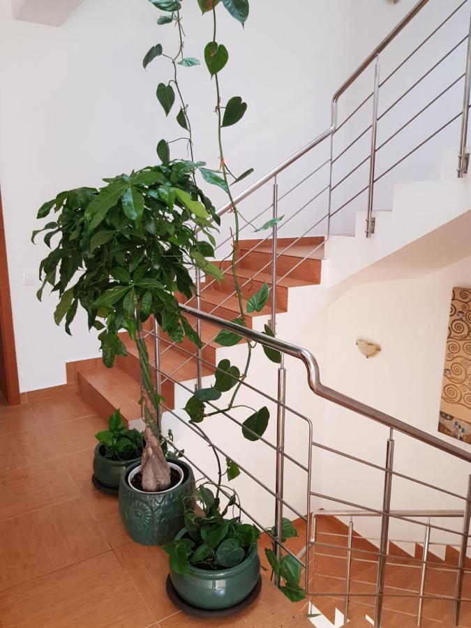 Dativo House Năvodari Extérieur photo