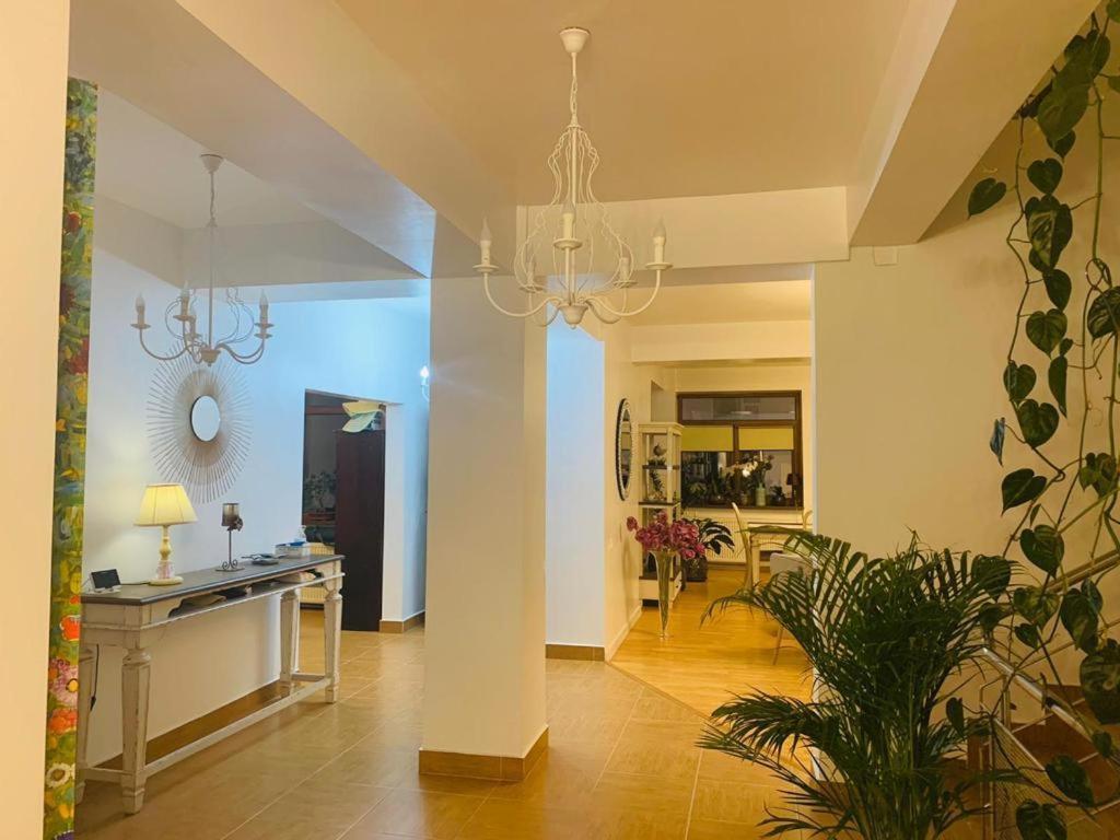 Dativo House Năvodari Extérieur photo